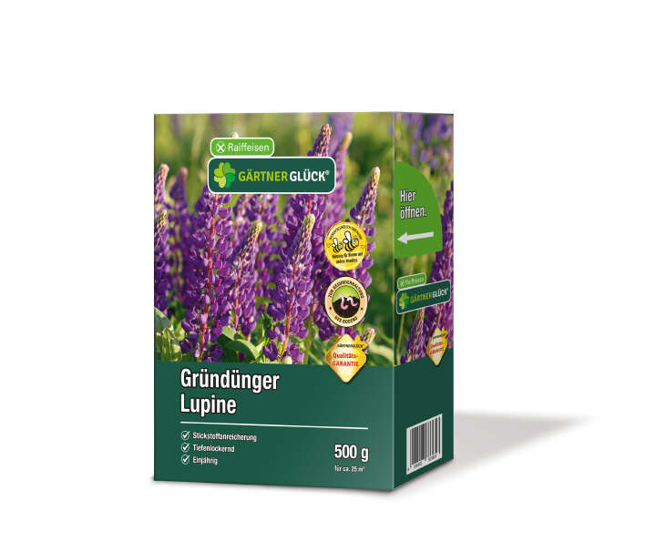 GÄRTNERGLÜCK Premium Lupine Blau